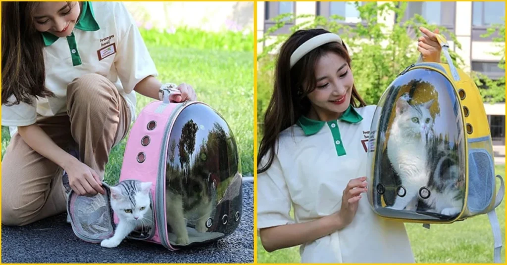 Stylish pet carrier backpack with a transparent PVC front, designed for cats and small dogs