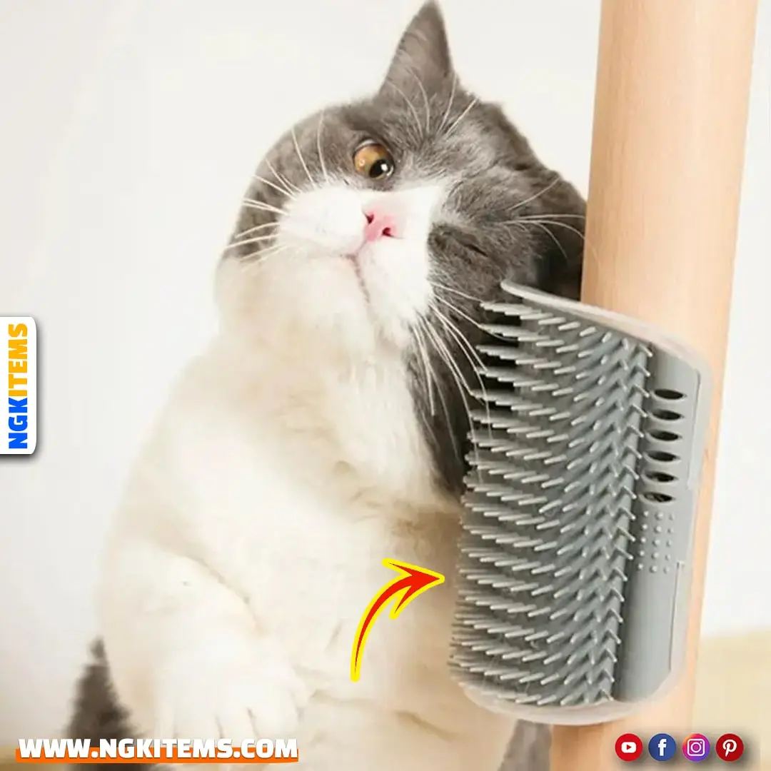 Cat Scratcher Massager