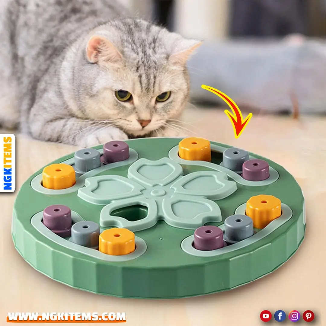 Cat Puzzle Toys