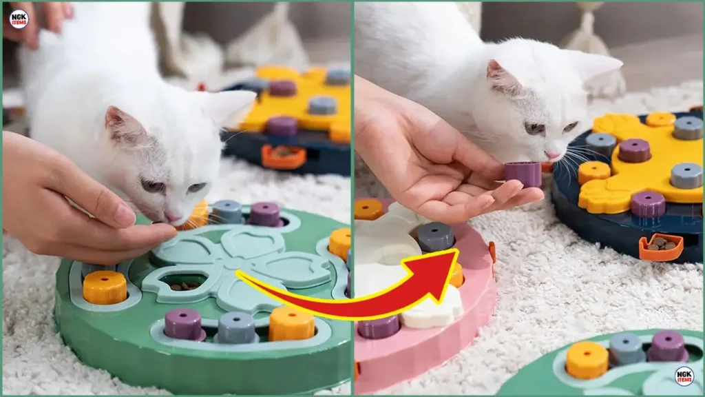 Interactive cat feeder